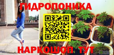 ECSTASY Гусев