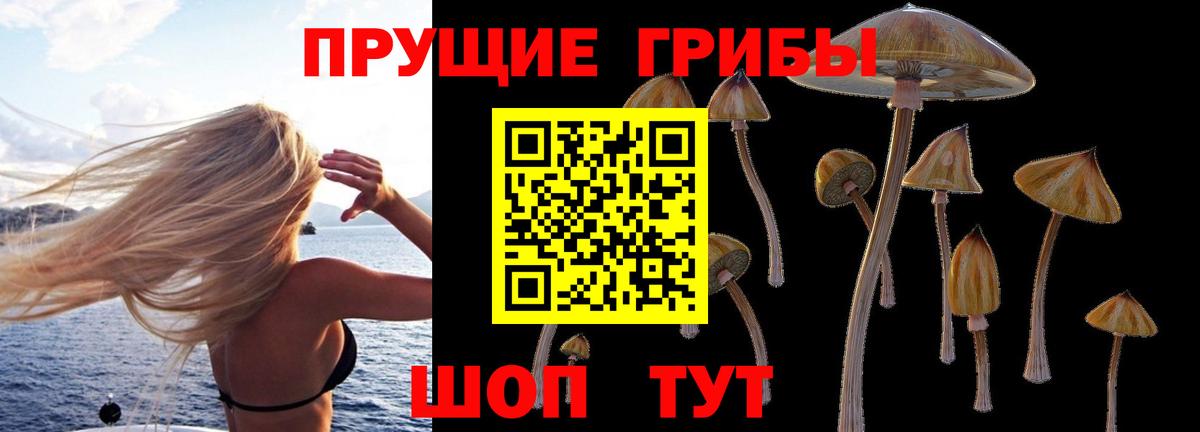 Галлюциногенные грибы GOLDEN TEACHER  Вход с VPN  Назарово 
